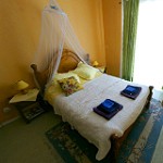 Terrace Apartment